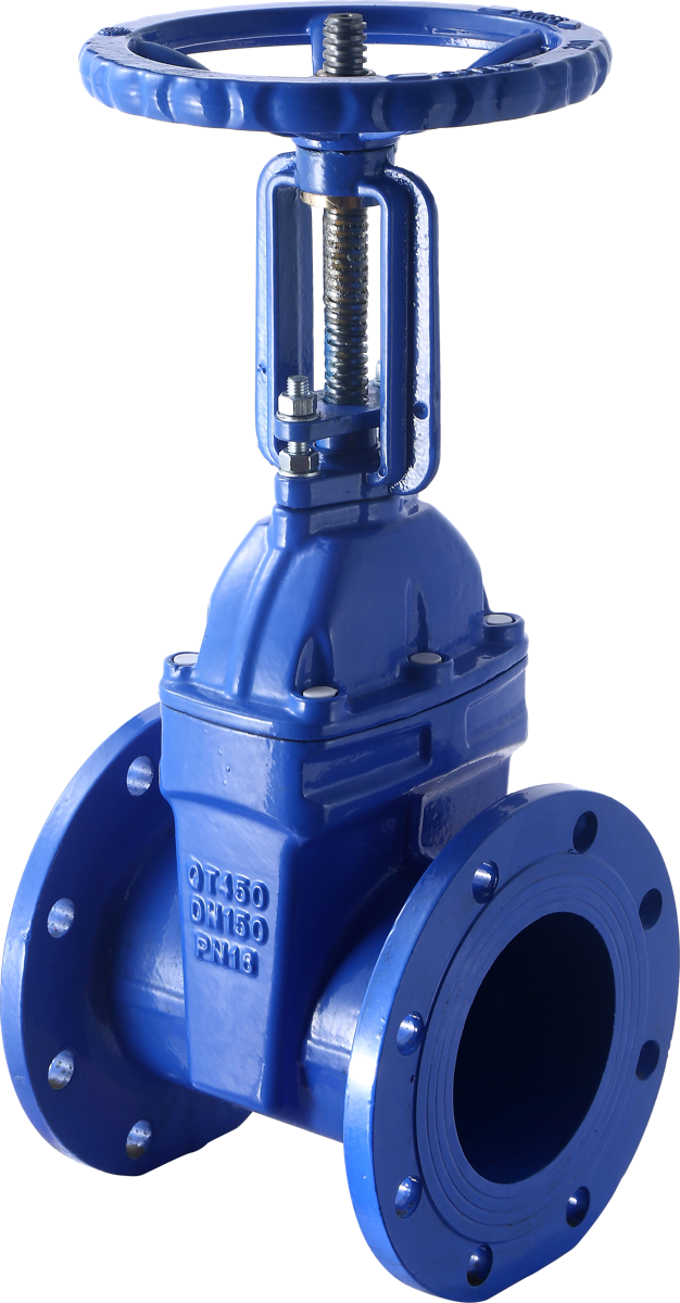 Flange Rising Stem Resilient Seated Gate Valve Z41X